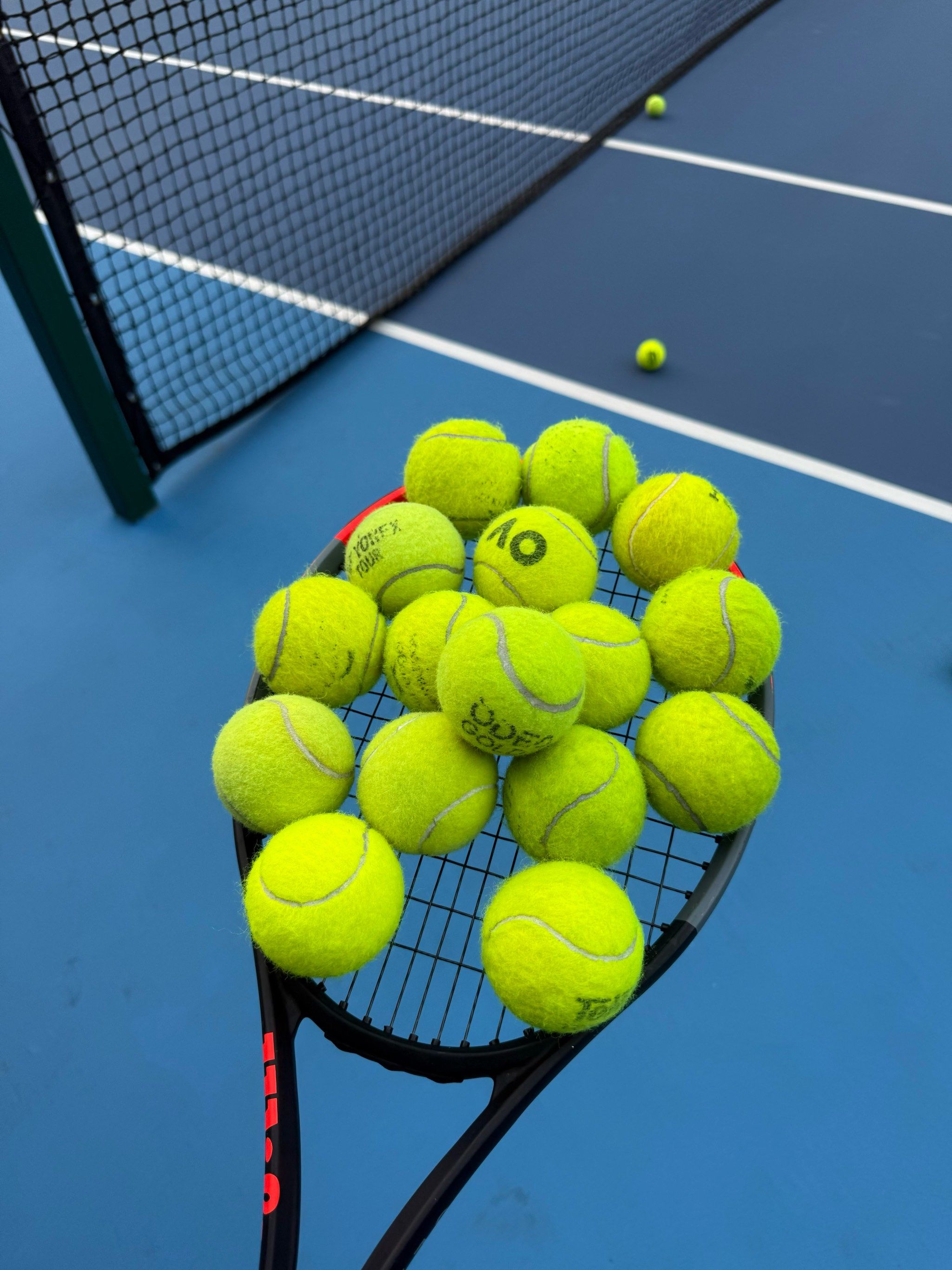 在此次赛事 在此次赛事