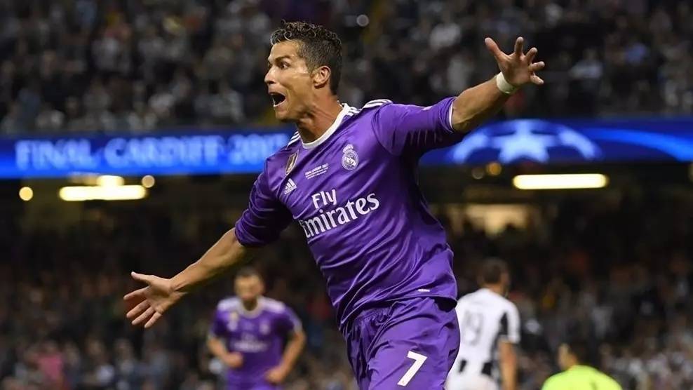 队员和团队 队员和团队