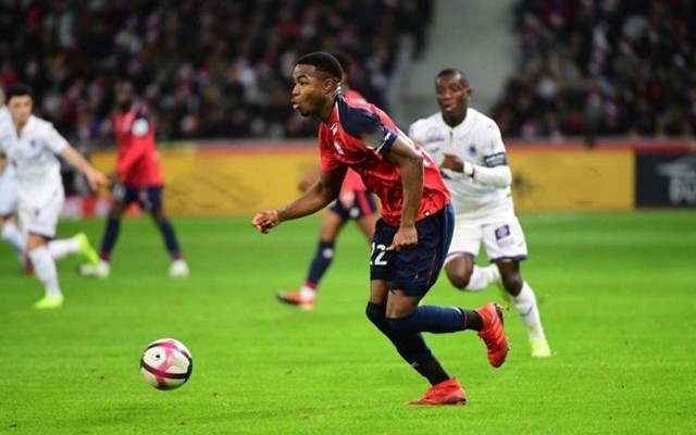 地位注入了 地位注入了