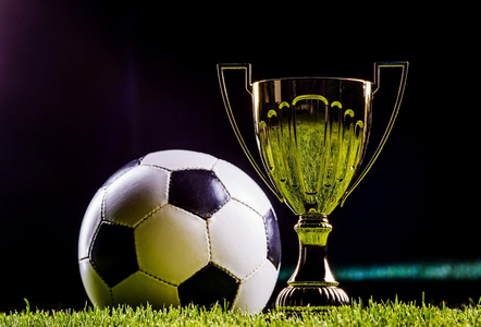 整个足球界 整个足球界